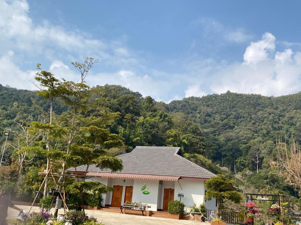 Thai Tea Garden Home Chiang Rai Exteriör bild